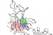 Repurposing of Known Drugs as Potential Therapeutics for Cancer Immunotherapy for Patients with Solid Tumors: Modeling Small Molecule Interactions with PD-1 Binding Sites